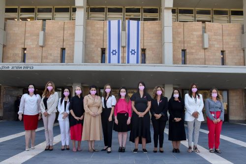 חברות הכנסת במסכות ורודות